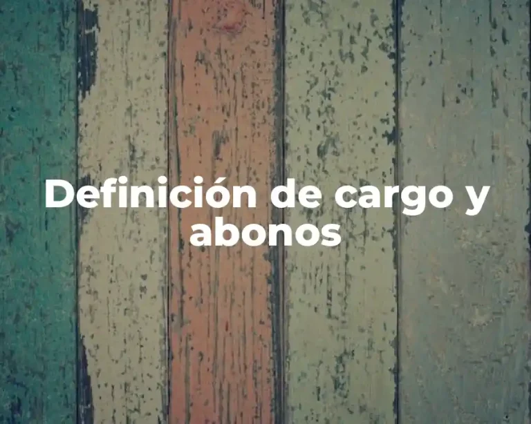 Definición de cargo y abonos
