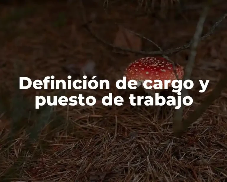 Definición de cargo y puesto de trabajo