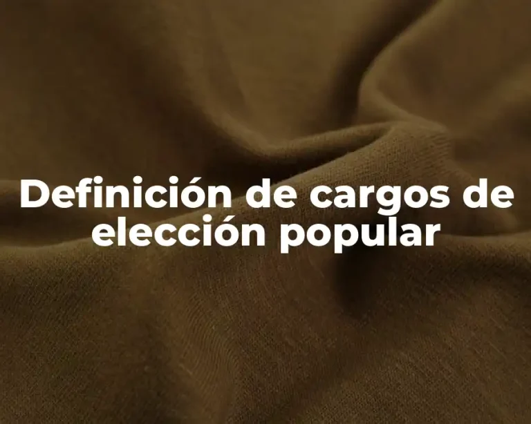 Definición de cargos de elección popular