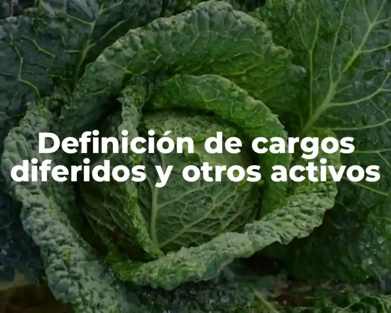 Definición de cargos diferidos y otros activos