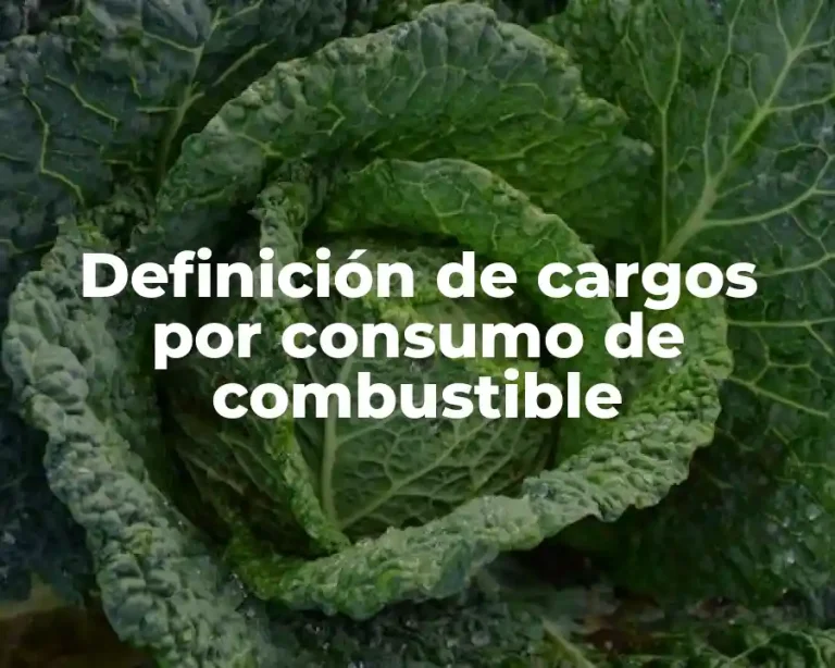 Definición de cargos por consumo de combustible