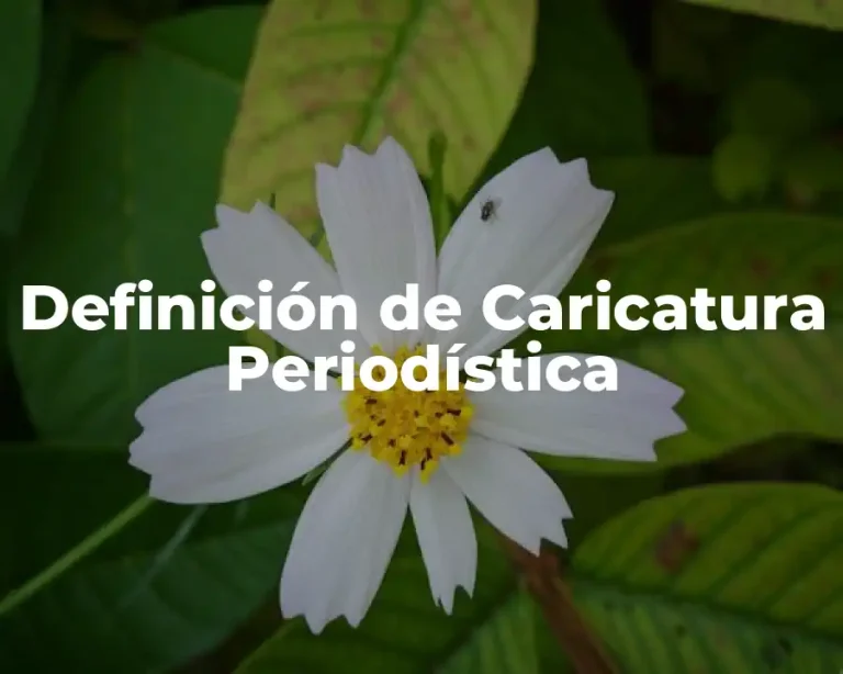 Definición de Caricatura Periodística