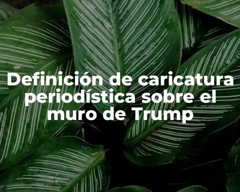 Definición de caricatura periodística sobre el muro de Trump