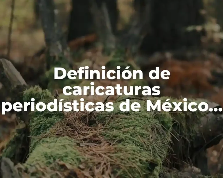 Definición de caricaturas periodísticas de México actuales de amor