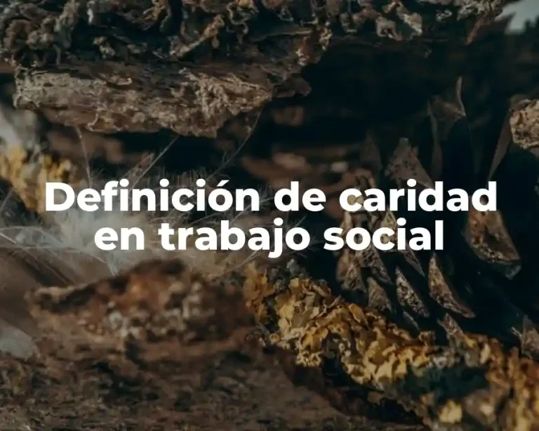 Definición de caridad en trabajo social