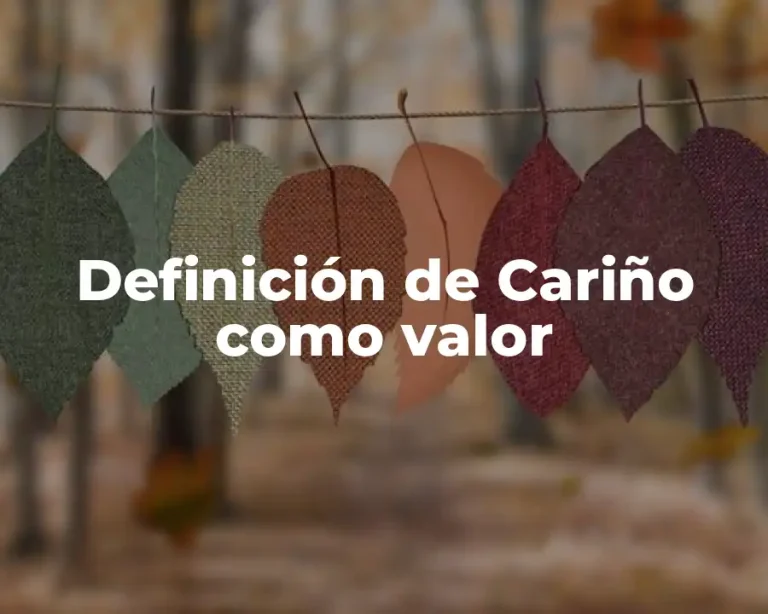 Definición de Cariño como valor