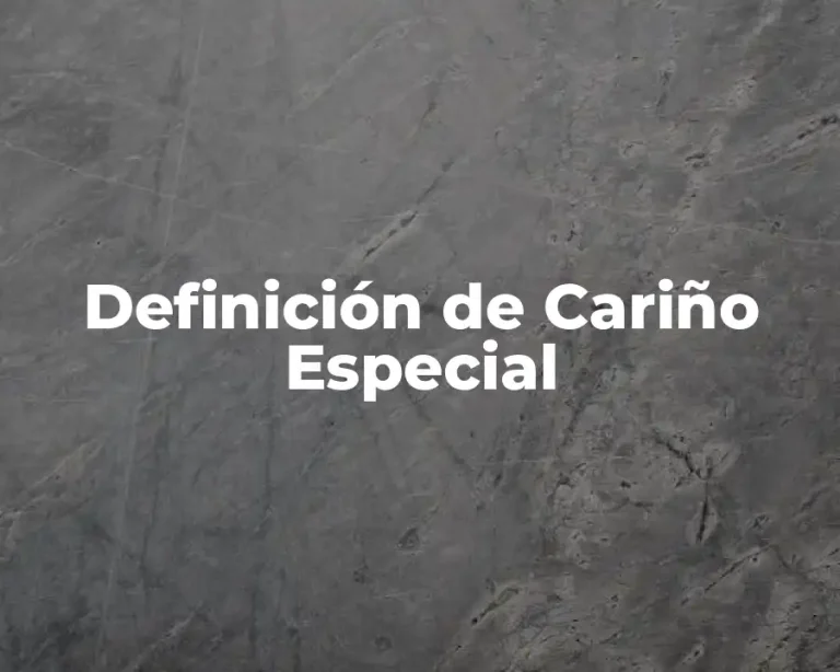 Definición de Cariño Especial