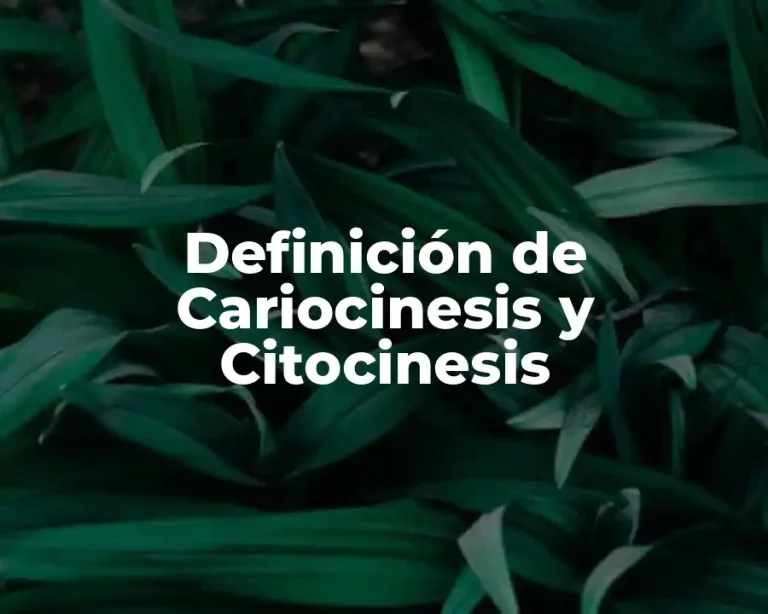 Definición de Cariocinesis y Citocinesis