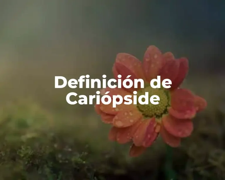 Definición de Cariópside