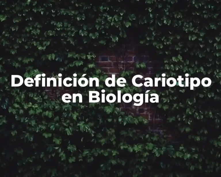 Definición de Cariotipo en Biología