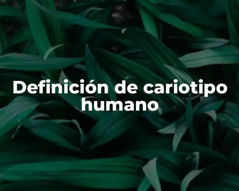 Definición de cariotipo humano