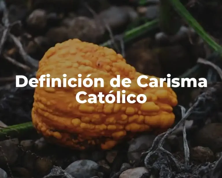 Definición de Carisma Católico