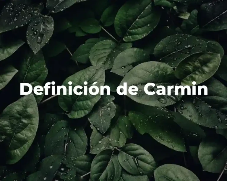 Definición de Carmin