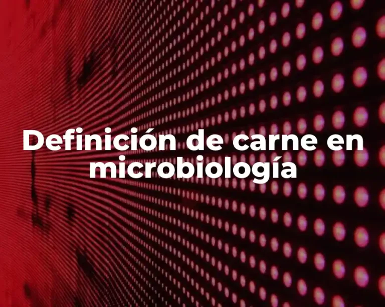 Definición de carne en microbiología