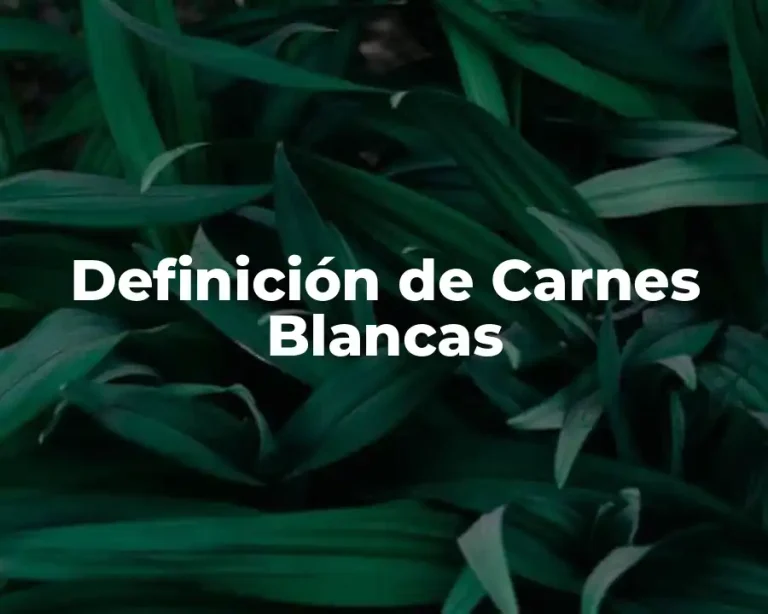 Definición de Carnes Blancas