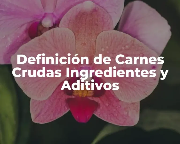Definición de Carnes Crudas Ingredientes y Aditivos