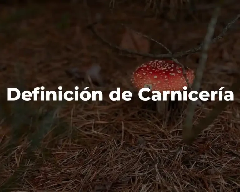 Definición de Carnicería