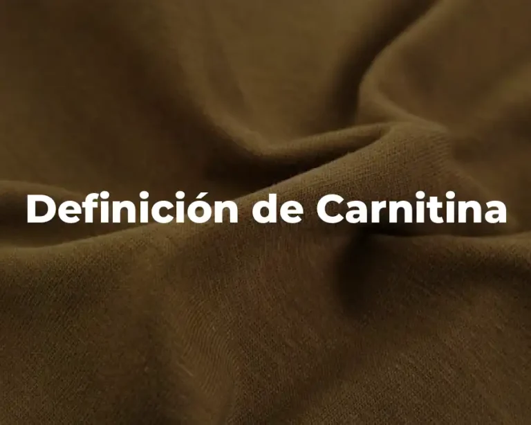 Definición de Carnitina