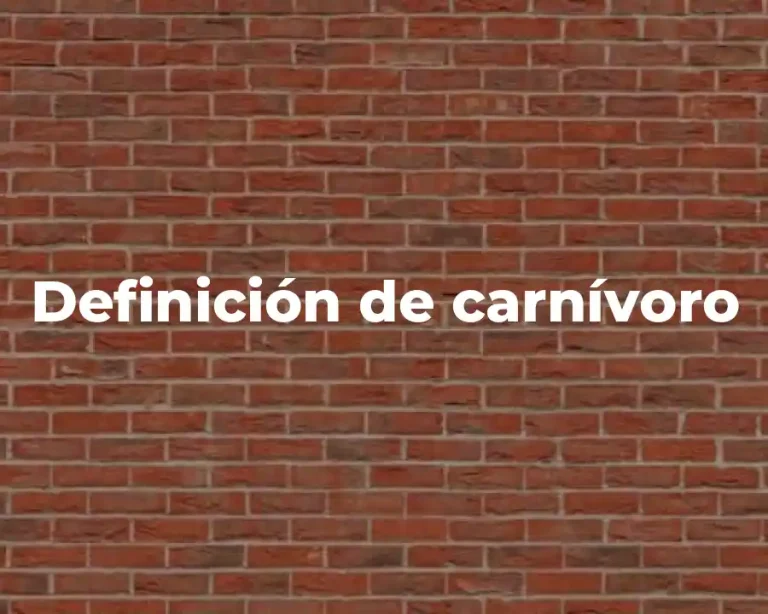 Definición de carnívoro