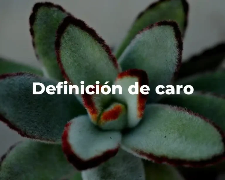 Definición de caro