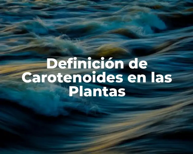 Definición de Carotenoides en las Plantas