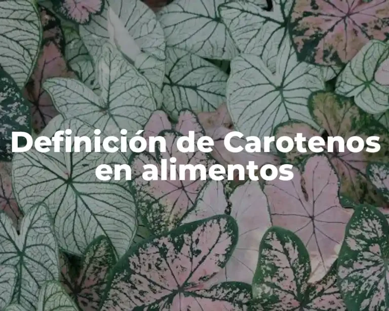 Definición de Carotenos en alimentos