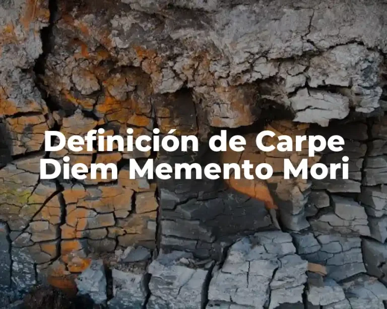 Definición de Carpe Diem Memento Mori