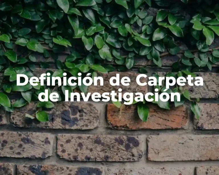Definición de Carpeta de Investigación