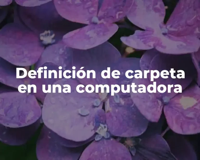 Definición de carpeta en una computadora