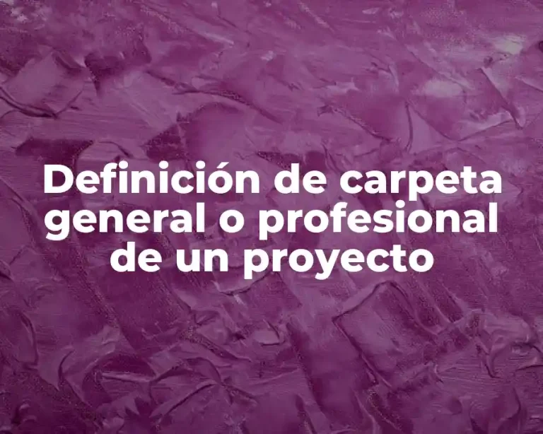 Definición de carpeta general o profesional de un proyecto