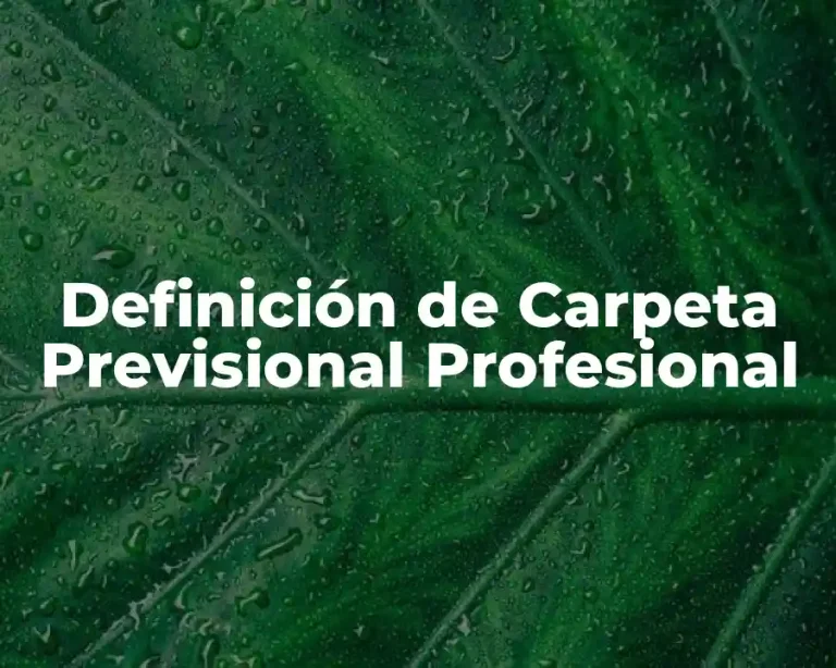 Definición de Carpeta Previsional Profesional