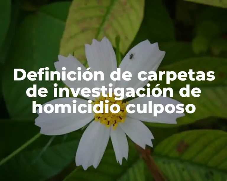Definición de carpetas de investigación de homicidio culposo