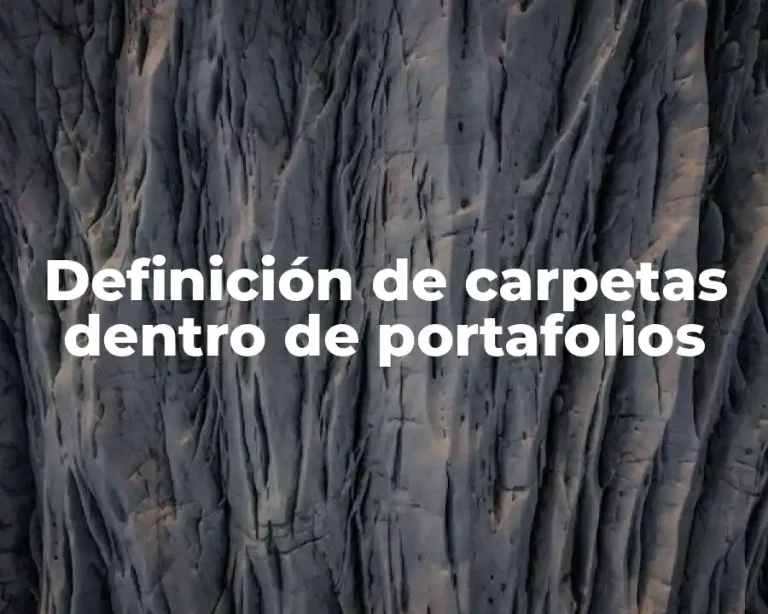 Definición de carpetas dentro de portafolios