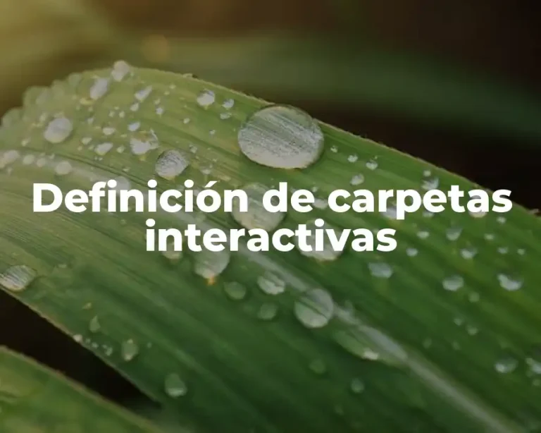 Definición de carpetas interactivas