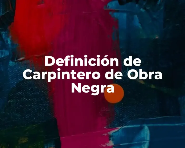 Definición de Carpintero de Obra Negra