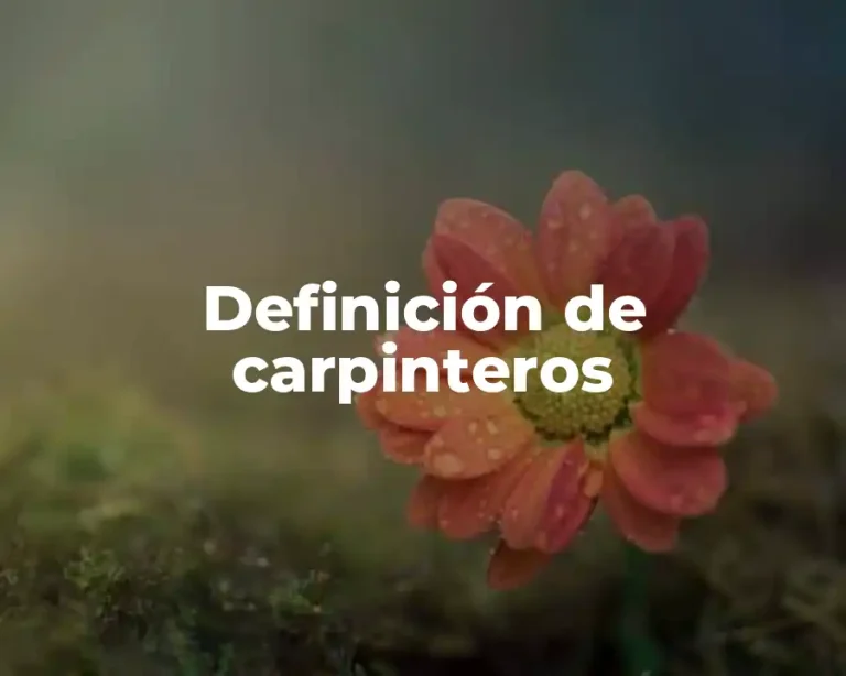 Definición de carpinteros