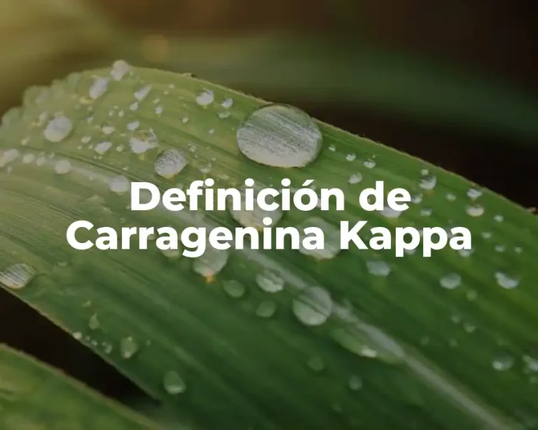 Definición de Carragenina Kappa
