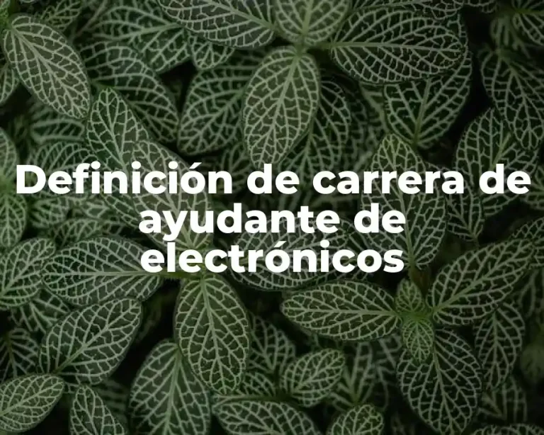Definición de carrera de ayudante de electrónicos