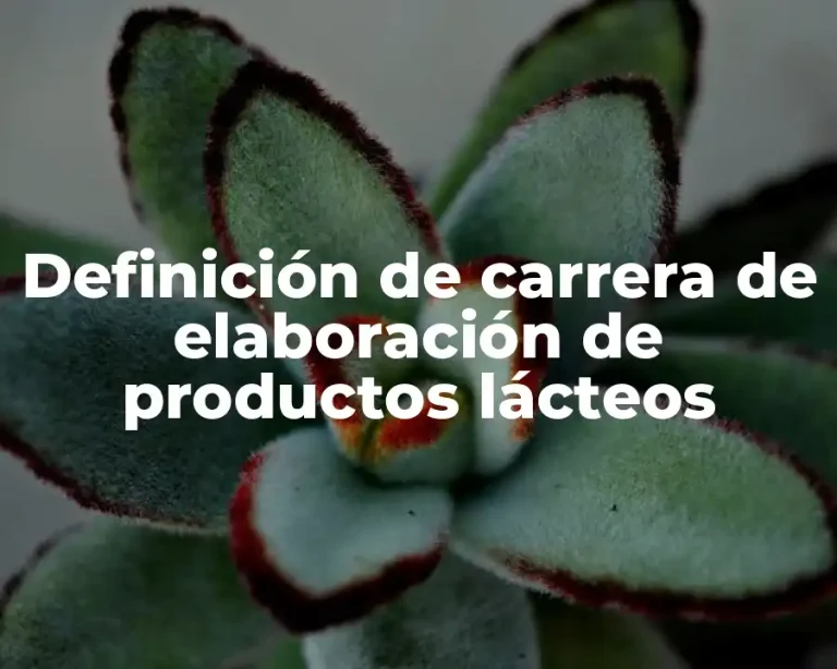 Definición de carrera de elaboración de productos lácteos
