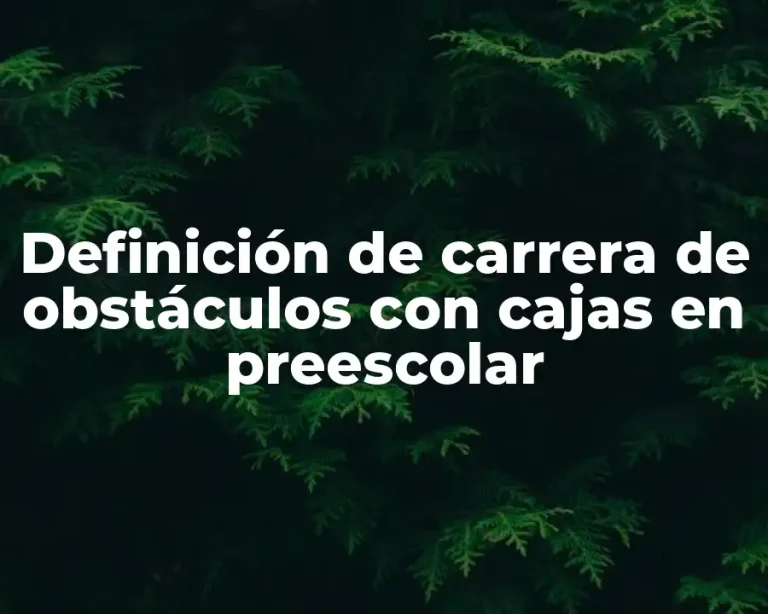 Definición de carrera de obstáculos con cajas en preescolar