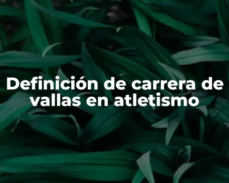 Definición de carrera de vallas en atletismo