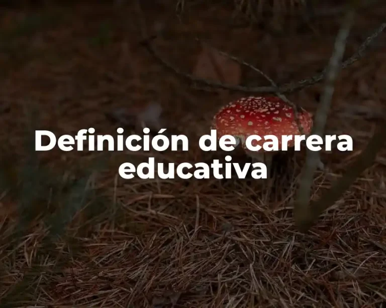 Definición de carrera educativa