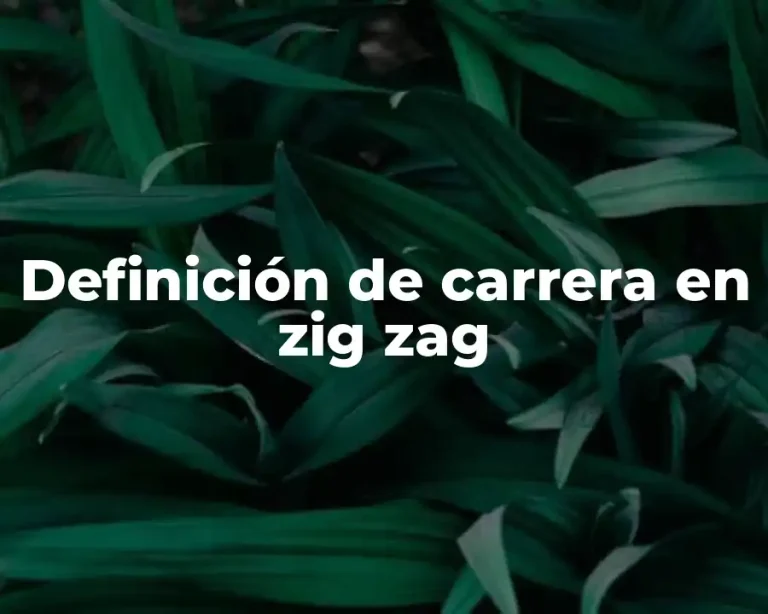 Definición de carrera en zig zag