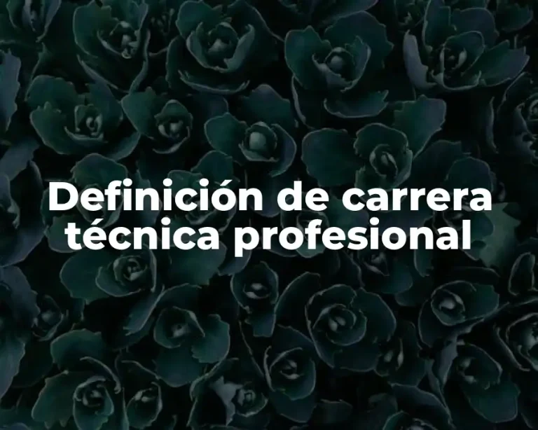 Definición de carrera técnica profesional