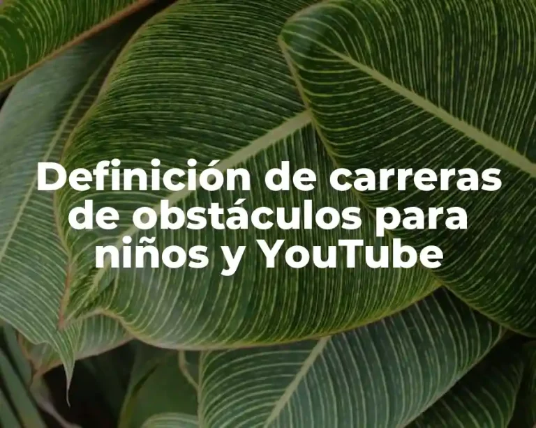 Definición de carreras de obstáculos para niños y YouTube