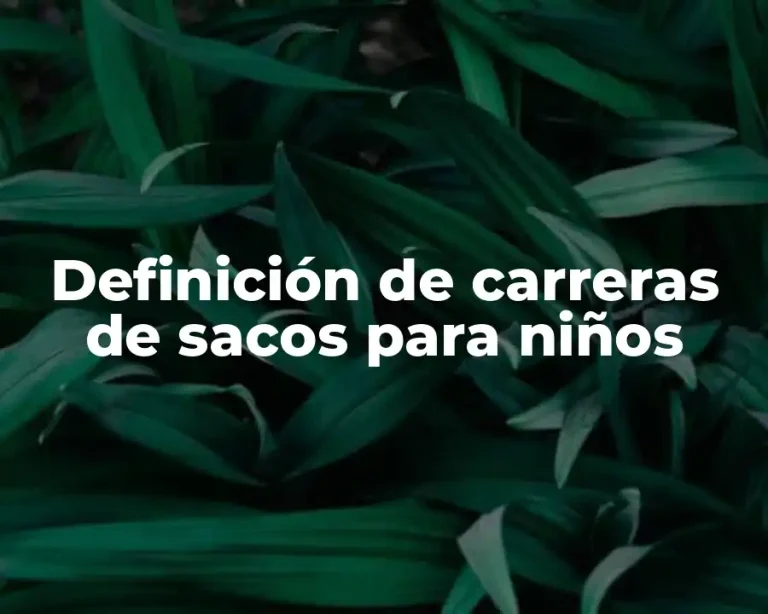 Definición de carreras de sacos para niños