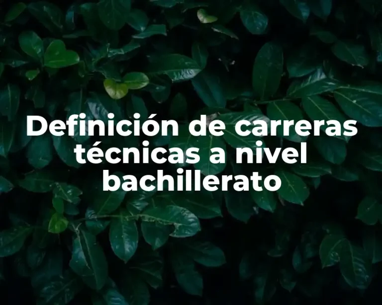 Definición de carreras técnicas a nivel bachillerato