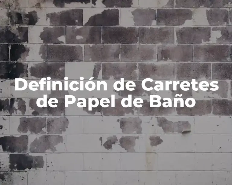 Definición de Carretes de Papel de Baño