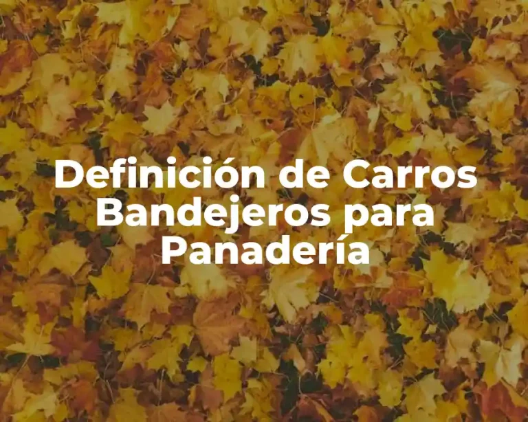 Definición de Carros Bandejeros para Panadería