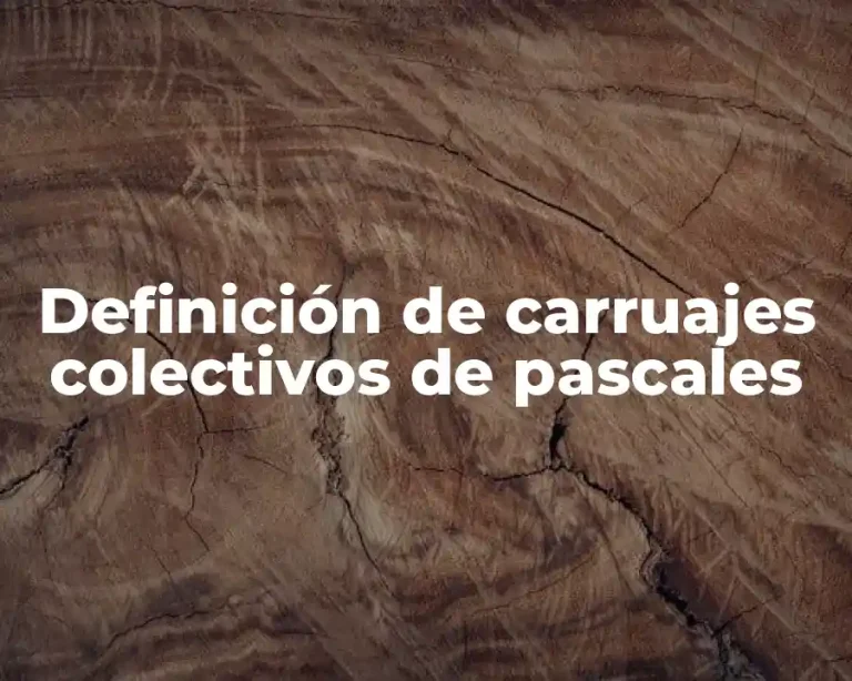 Definición de carruajes colectivos de pascales